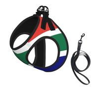 South African Flag Print Small Dog Harness with Leash Set, No Escape Easy Walk Puppy Harnesses for Training Walking