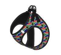 South African Flag Print Step in Dog Harness and Leash Set,Adjustable Reflective Harness for Small Dogs Cats