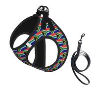 South African Flag Print Step in Dog Harness and Leash Set,Adjustable Reflective Harness for Small Dogs Cats