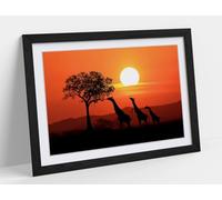 South African Giraffes at Sunset in Africa Stunning Framed Wall Art Print Picture - A4 - Black Frame