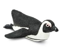 South African Penguin