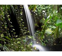 South America's Lost Cradle of Civilization