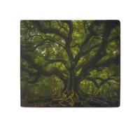 South Carolina Angel Oak Tree Billfold Wallet Leather Purse Cute Card Holder Clutch for Business Travel