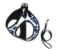 South Carolina Flag Map Print Small Dog Harness with Leash Set, No Escape Easy Walk Puppy Harnesses for Training Walking