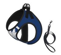 South Carolina Flag Print Small Dog Harness with Leash Set, No Escape Easy Walk Puppy Harnesses for Training Walking