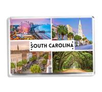 South Carolina - US State - Souvenir Tourist - Fridge Magnet - Novelty Keepsake Gift