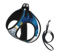 South Dakota Flag Map Print Small Dog Harness And Leash Set, Adjustable Soft Vest With 360° Reflective Straps For Cats Puppy