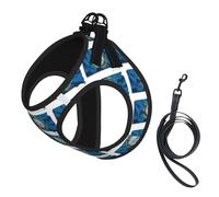 South Dakota Flag Map Print Small Dog Harness with Leash Set, No Escape Easy Walk Puppy Harnesses for Training Walking