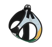 South Sudan Flag Map Print Adjustable Reflective Harness Leash Set For Cats, Dogs And Small Pets, Soft Breathable Mesh Walking Vest With Escape-Proof Lead