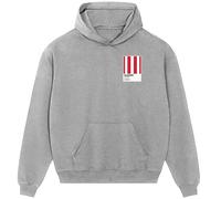Southampton Classic Football Shirt Colours Frame Men's Hoodie - Gray / L