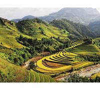 Southeast Asia - Vietnam