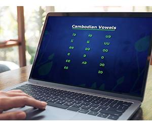 Southeast Asian Languages: The Sinosphere