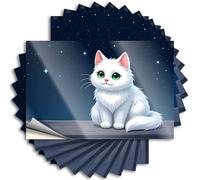 Southern, Decal Case A Fluffy White Cat with Green Eyes Sits On A Rooftop Under A Starry Night Sky | Hunting Fall Door Decor(8X12CM)