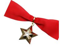 Soviet Distinguished Service Star Neck Hanging Badge Decoration Historical Version For Collectors And Enthusiasts, As the pic show, Metal, no gemstone