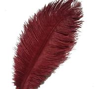 Sowder 20pcs Natural 10-12inch(25-30cm) Ostrich Feathers Plume for Wedding Centerpieces Home Decoration(Burgundy)
