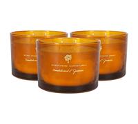 Nicola Spring Sandalwood & Jasmine Scented Candle - 350g - Pack of 3-38 Hour Burning Time Natural Soy Wax Double Wick Candles Relaxing Fragrance Aromatherapy Gift Set