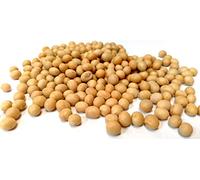 Soya Beans, Premium Quality, Free P&P to the UK (100g)