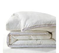 Soybean Fiber Comforter - All Season Duvet Insert, Breathable, Hypoallergenic & Warm, Winter Heavy Weight and Spring/Autumn Medium Warmth Bedding for Adults (B 2x2.3m/6.5x7.5ft~4.8kg)