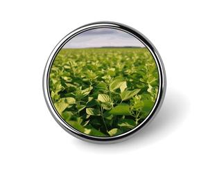 Soybean Field Round Badge 25mm/1 Inch Metal Buttons Round Badge Pin Button Parts Classic Pin Holders Buttons for Shirts Clothes Individualistic Brooch