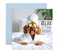 Spa Birthday Card for Her - Relax, its your Day - Gifts for Stressed Friends, Mum, Dad, Wife, Sister, Girlfriend, Cooleagues, Women - Cute Cockapoo with Cucumber Eyes - Comes with Stickers