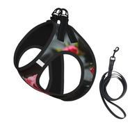 Spa Stone And Rose Flowers Print Pet Vest Harnesses Leash Set Reflective Puppy Vest Dogs Walking Training Dog Harness
