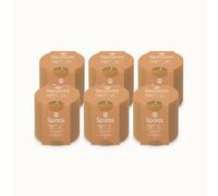 Spaas 6 Glow Scented Candles, ± 35 Hours, Delightful Dawn, Coconut and Fig Leaf