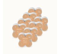 Spaas 8 Flatpacks of 8 Scented Maxi Tea Lights, ± 10 Hours, Delightful Dawn, Coconut and Fig Leaf