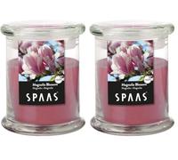 Spaas Scented Candle in Household Jar, 60 Hours, Magnolia Blossom (Pack of 2)