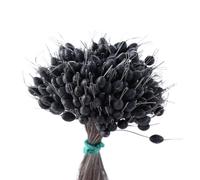 Space Bean Silicone Fishing Float Stops,300pcs Line Stoppers for Pole Fishing,Depth Control,Carp Rig,Elastic Bobber Stoppers(black-M olive style)