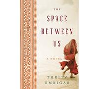Space Between Us LP, The