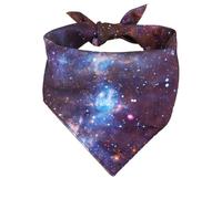 Space Blue & Purple Dog Bandana: Starry Print Triangle Scarf for Pets, Dogs, Puppies & Small Breeds