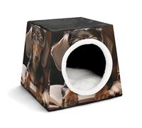Space Capsule Pet House - Oxford Fabric Pet House for Cats, Dogs, Guinea Pigs and Small Pets, Family and Travel, 13.8 "x 13.8" X 11.8"