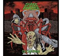 Space Chaser - Decapitron ( 2020 Remixed) [12" VINYL]