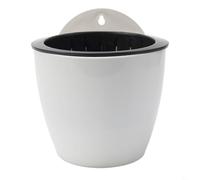Space Optimized Wall Mounted Container for Growing Culinary Herbs Air Plants or Decorative Foliage Indoors (B180)