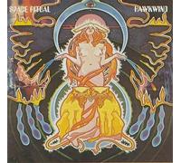 Space Ritual: Recorded Live in Liverpool and London (fold out sleeve) [Vinyl LP]