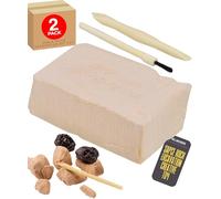 Space Rocks Dig and Discover Educational Excavation Kit for Kids Science Exploration Set Fossil and Rock Discovery Toy Hands-On Learning STEM Activity For Includes Tools and Block 2 Pack