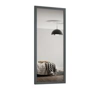 Spacepro Shaker 1 Panel Mirrored Graphite Framed Sliding Wardrobe Door (H)2220mm (W)610mm