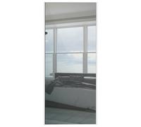 Spacepro Silver Frame Mirror Sliding Door 36Inch