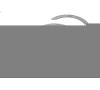 Spacer, crankshaft MAHLE 099 AS 21073 000 for FENDT 300 4.038 2003-2008