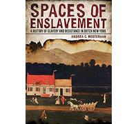Spaces of Enslavement: A History of Slavery and Resistance in Dutch New York (New Netherland Institute Studies)