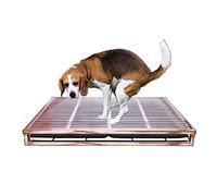 Spacious Large Dog Toilet Stainless Steel Toilet Drawer Litter Box with 2 Trays, Indoor Outdoor Pet Dog Training Anti-stepping Splash Urine Large Dogs Potty Toilet, 105x77x10 Cm