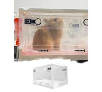 Spacious Rabbits Pet Atomization Nest, Puppy Kitten Nursing Box with Air& Tube Holes, Foldable Portable Animal Medical Respiratory Spray Case(Small)