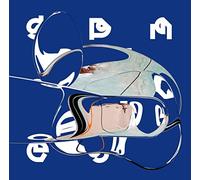 SPACIOUSNESS - MUSIC WITHOUT HORIZONS [VINYL]