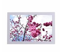 Spacmirrors 17 Inch Digital Photo Frame Electronic Photo,album Background Music/U Disk/memory Card/time Switch Machine/video Player/electronic Desk Calendar/remote Control Operation (White)