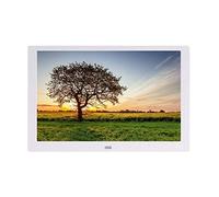 Spacmirrors Digital Photo Frames 10.1" High Definition Electronic Photo Album Digital Picture Frame Display Machine Multimedia Player USB Interface Multifunctional Photo Frame (Qualitative White 10.1