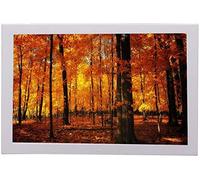 Spacmirrors Digital Photo Frames 17 inch Wall mounted Digital Picture Frame Advertising Player Video Advertising Player Display Stand Advertising Machine Product Display HD Black Digital Photo (White