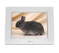 Spacmirrors Digital Photo Frames 8-inch high-definition digital player, smart electronic album, music/picture/calendar/clock/video player, black and white multimedia advertising machine (White)