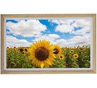 Spacmirrors Wood Digital Picture Frame, Digital Photo Frames 1920×1080 High Resolution Electronic Photo Album Portrait&Landscape Instantly Photo & Video Sharing Auto Rotate (Wood 21.5inch)