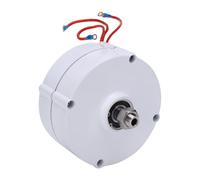Spacnana Permanent Magnet Generator, Die Cast Aluminum Alloy 200W 3 Phase AC Alternator for Wind and Micro Hydro Power Systems (Without rectifier 48V)