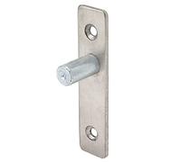 Spacnana Pivot Hinge, 201 Stainless Steel, Thickened Design, Good Load Bearing, Ideal for Either Traditional or Modern Glass Doors